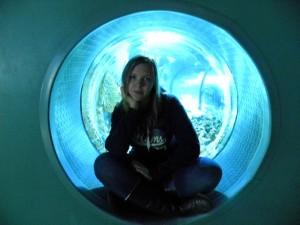Лучнева Светлана Игоревна