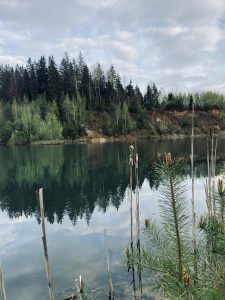 Быкова Анна Сергеевна