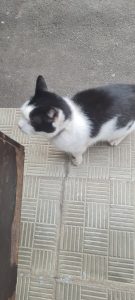 Карина Анатольевна