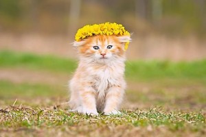 Иванов Дмитрий Владимирович