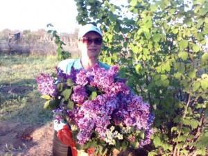 Михиенкова Елена Викторовна