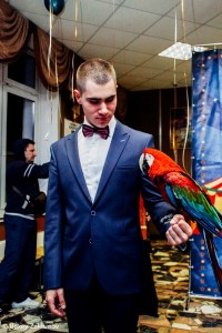 Щербаков Арсений Андреевич