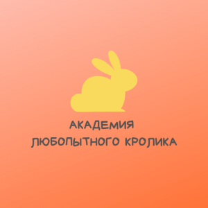 Академия любопытного кролика