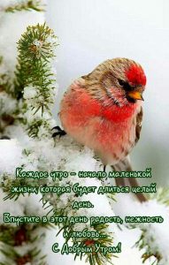 Лариса Александровна Ангельская