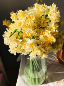 Юлия Владимировна