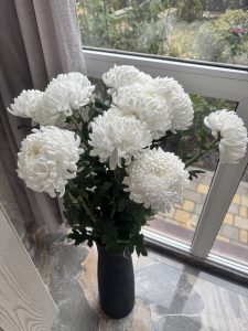Махмудова Иза Мамедовна